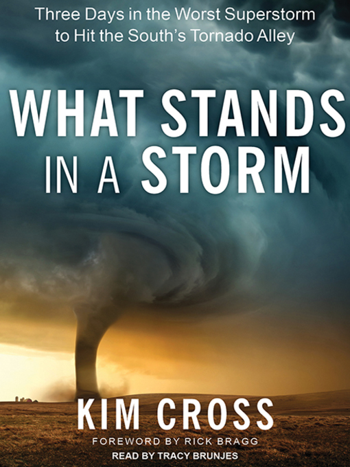 Title details for What Stands in a Storm by Kim Cross - Available